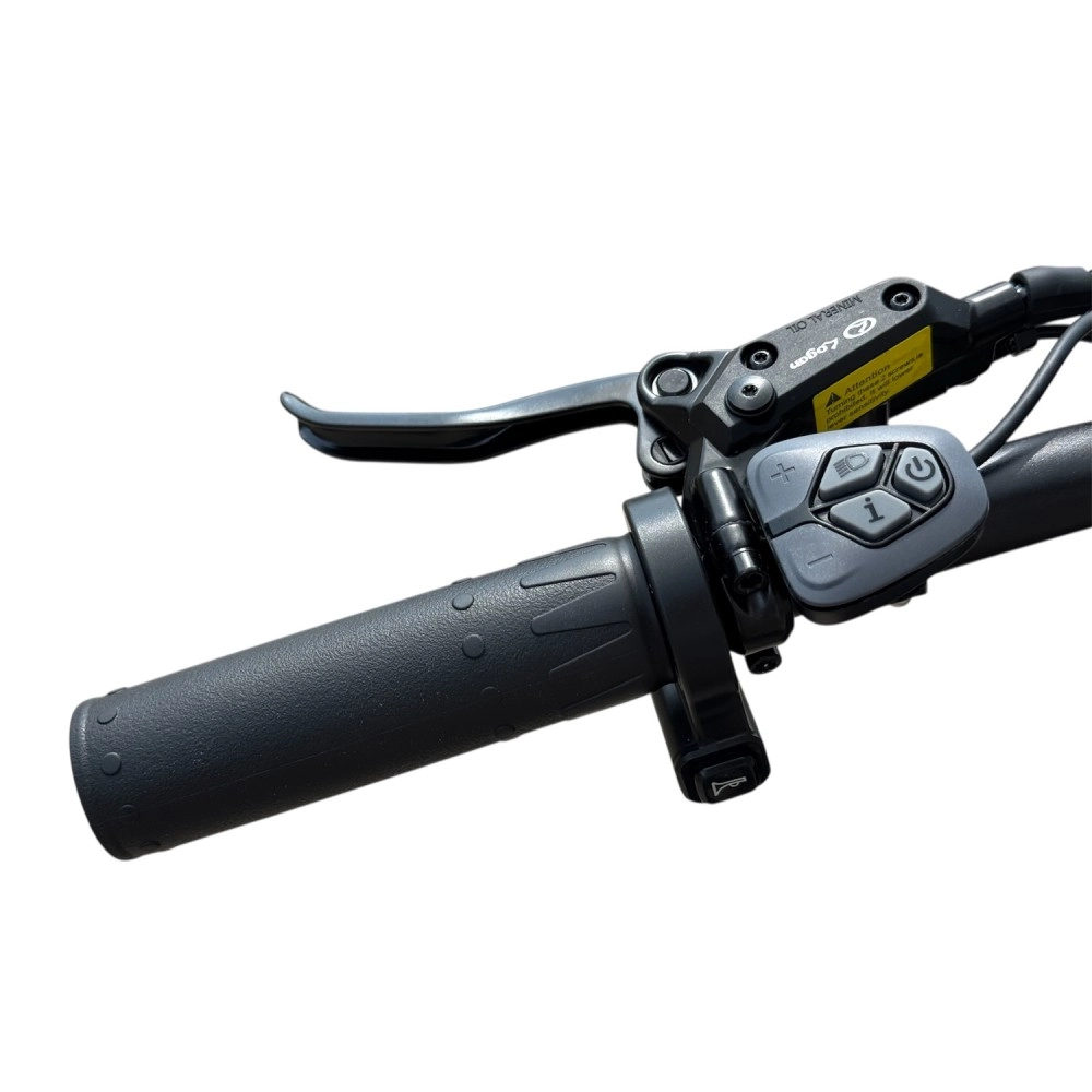 Электровелосипед SmartBalance Hunter Чёрный 3